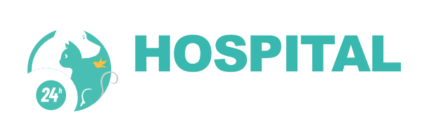 hospital veterinário palhoça