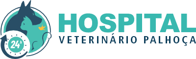 hospital veterinário palhoça