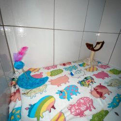 Hospedagem HVP